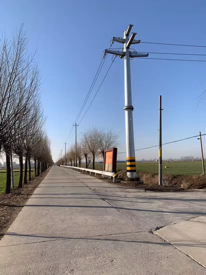 LV Electric Pole with Ladder